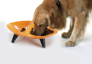 Melamine Couture Sculpture Double Food and Water Dog Bowl - Pet Totality