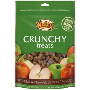 Nutro Crunchy Dog Treats With Real Apple, 16 Ounce Bag - Pet Totality