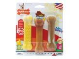 Nylabone Flavor Frenzy Dura Chew Triple Pack Regular