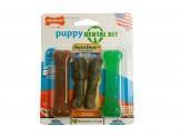 Nylabone Puppy Dental Pack 4Pk - Pet Totality