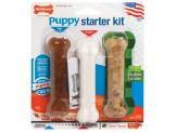 Nylabone Puppy Starter Kit (Puppybone/Edible Bacon/Durachew Chick) Regular - Pet Totality