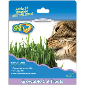 Ourpet'S Cosmic Kitty Cat Grass - Pet Totality