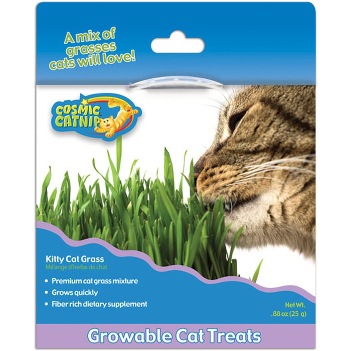 Ourpet'S Cosmic Kitty Cat Grass