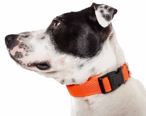 Pet Life  'Aero Mesh' 360 Degree Dual Sided Comfortable And Breathable Adjustable Mesh Dog Collar - Pet Totality