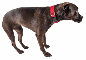 Pet Life  'Aero Mesh' 360 Degree Dual Sided Comfortable And Breathable Adjustable Mesh Dog Collar - Pet Totality