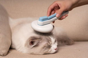 Pet Life  'Concepto' Modern Bristle Grooming Pet Deshedder Comb - Pet Totality