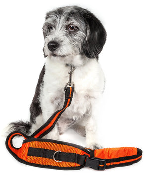 Pet Life Echelon Hands Free And Convertible 2-In-1 Training Dog Leash And Pet Belt With Pouch - Pet Totality