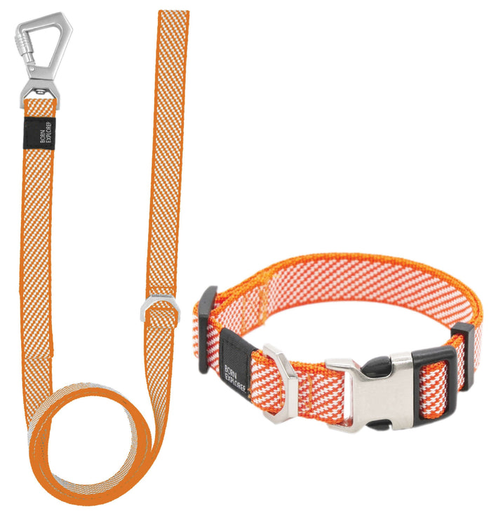 Pet Life  'Escapade' Outdoor Series 2-in-1 Convertible Dog Leash and Collar