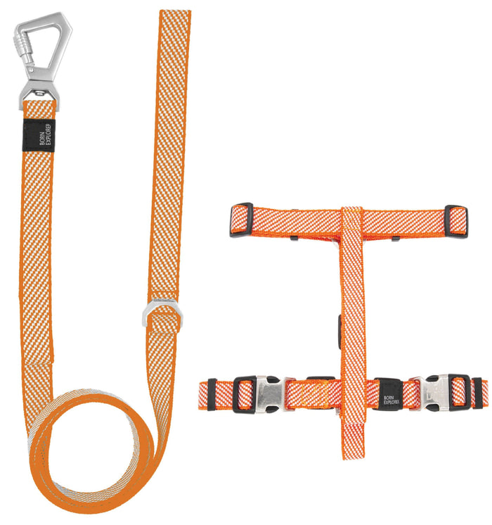 Pet Life  'Escapade' Outdoor Series 2-in-1 Convertible Dog Leash and Harness