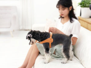 Pet Life  'Ever-Craft' Boutique Series Adjustable Designer Leather Dog Harness - Pet Totality
