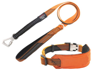 Pet Life  'Geo-prene' 2-in-1 Shock Absorbing Neoprene Padded Reflective Dog Leash and Collar - Pet Totality