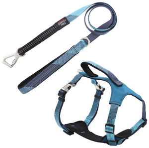 Pet Life  'Geo-prene' 2-in-1 Shock Absorbing Neoprene Padded Reflective Dog Leash and Harness - Pet Totality