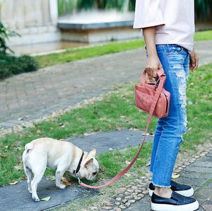 Pet Life  'Posh Walk' Purse Dog Leash, Accessory Holder and Waste Bag Dispenser - Pet Totality