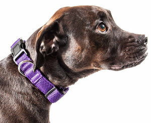 Pet Life ® 'Aero Mesh' 360 Degree Dual Sided Comfortable And Breathable Adjustable Mesh Dog Collar - Pet Totality