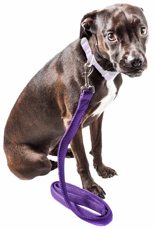 Pet Life ® 'Aero Mesh' Dual Sided Comfortable And Breathable Adjustable Mesh Dog Leash - Pet Totality