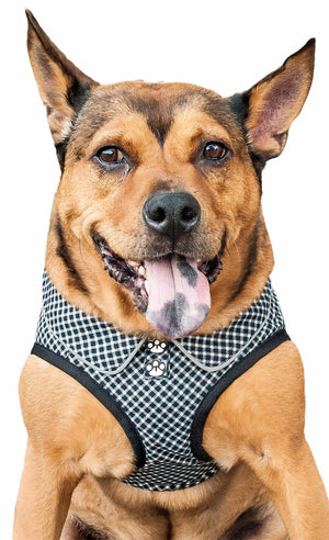 Pet Life ® 'Checkerwag' Checkered Buttoned Mesh Reversible And Breathable Adjustable Dog Harness - Pet Totality