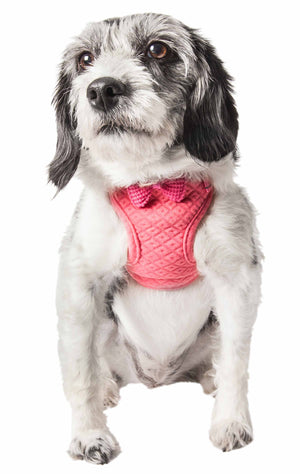 Pet Life ® 'Flam-Bowyant' Mesh Reversible And Breathable Adjustable Dog Harness W/ Designer Bowtie - Pet Totality