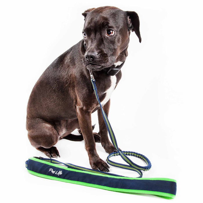 Pet Life ® 'Free-Fetcher' Hands Free Over-The-Shoulder Shock Absorbent Dog Leash