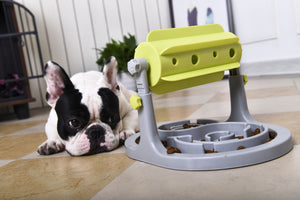 Pet Life  'Roto Paw' IQ Training Interactive Rotating Slow Dog Feeder - Pet Totality