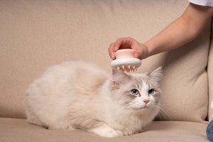 Pet Life  'Scwubba' Handheld Bathing Brushing and Massaging Soft Flexible Grooming Pet Comb - Pet Totality