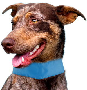 Pet Life Summer-Cooling' Insert Able And Adjustable Cooling Ice Pack Dog Neck Wrap - Pet Totality