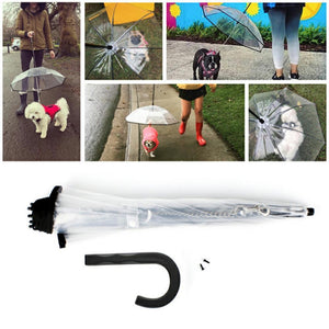 Pet Totality Transparent Small Dog Umbrella With Attached Leash - Pet Totality