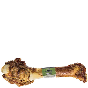 Redbarn Shank Bone Large - Pet Totality