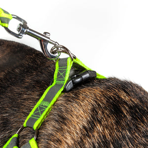 Reflective Stitched Easy Tension Adjustable 2-in-1 Dog Leash and Harness - Pet Totality