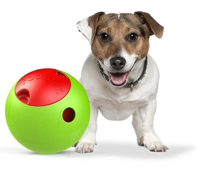 The Foobler Timed, Self Reloading Puzzle Feeder for Dogs Toy Ball
