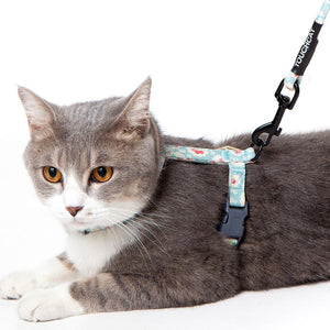 Touchcat 'Radi-Claw' Durable Cable Cat Harness and Leash Combo - Pet Totality