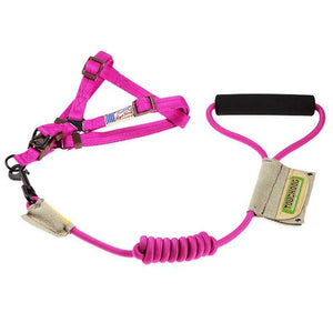 Touchdog 'Faded-Barker' Adjustable Dog Harness and Leash - Pet Totality
