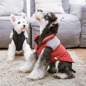 Touchdog 'Furrost-Bite' Fur and Fleece Fashion Dog Jacket - Pet Totality