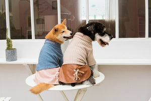 Touchdog  'Modress' Fashion Designer Dog Sweater and Dress - Pet Totality