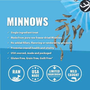 Vital Essentials Minnows Freeze-Dried Raw Dog Treats, 2.5Oz - Pet Totality