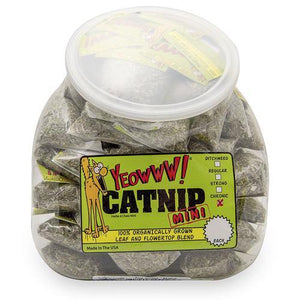 Yeow Jug With 50 Catnip Min - Pet Totality