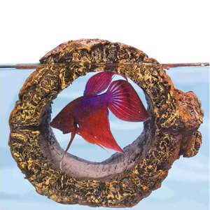 Zoo Med Floating Betta Log - Pet Totality