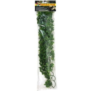 Zoo Med Natural Bush Plants Congo Ivy Large - Pet Totality
